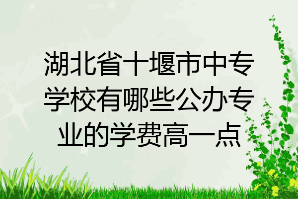 湖北省十堰市中专学校有哪些公办专业的学费高一点