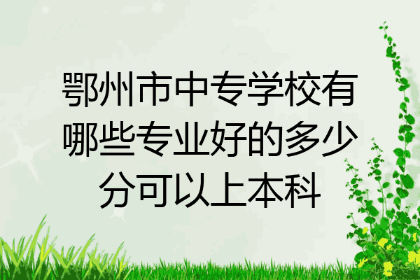 鄂州市中专学校有哪些专业好的多少分可以上本科