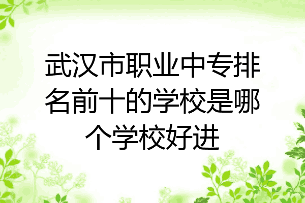武汉市职业中专排名前十的学校是哪个学校好进