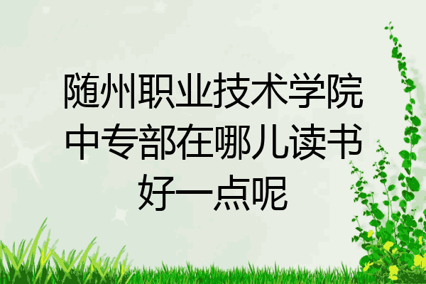 随州职业技术学院中专部在哪儿读书好一点呢