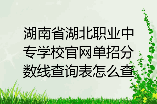 湖南省湖北职业中专学校官网单招分数线查询表怎么查
