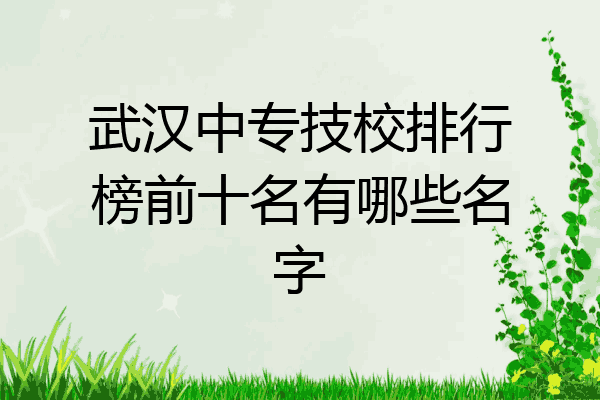武汉中专技校排行榜前十名有哪些名字