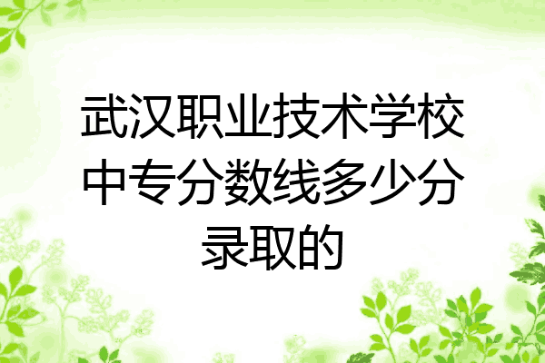 武汉职业技术学校中专分数线多少分录取的