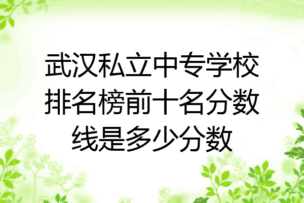 武汉私立中专学校排名榜前十名分数线是多少分数