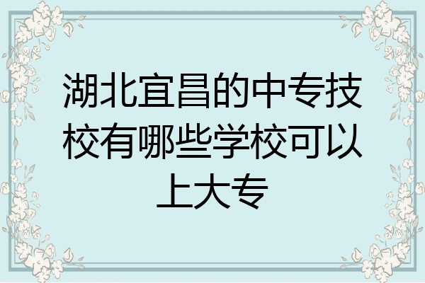 湖北宜昌的中专技校有哪些学校可以上大专