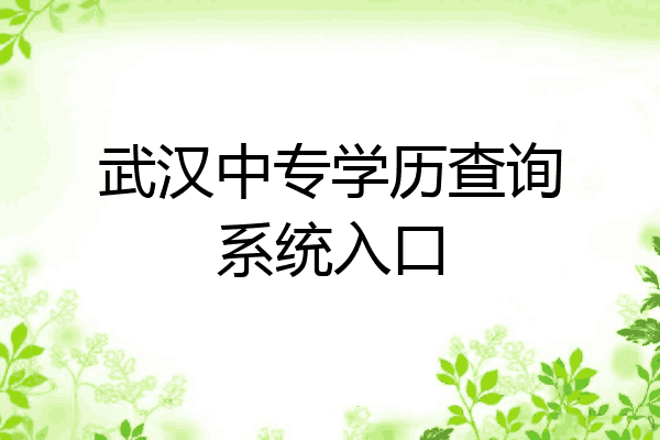 武汉中专学历查询系统入口