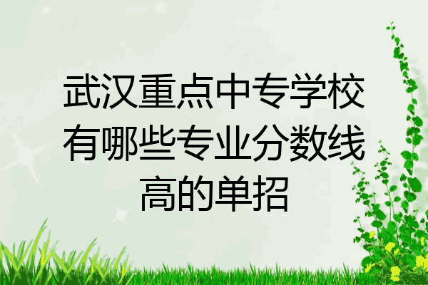 武汉重点中专学校有哪些专业分数线高的单招