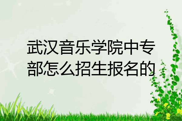 武汉音乐学院中专部怎么招生报名的