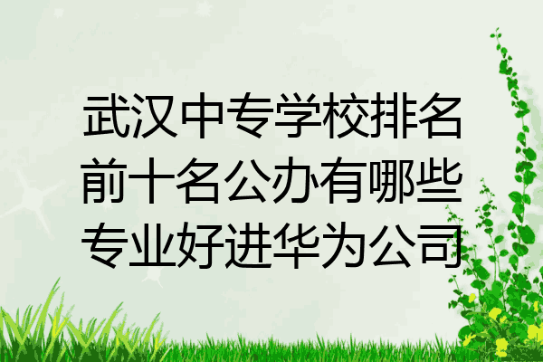 武汉中专学校排名前十名公办有哪些专业好进华为公司