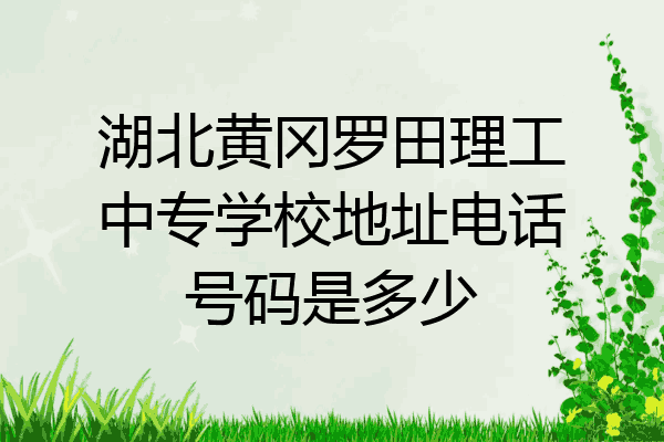 湖北黄冈罗田理工中专学校地址电话号码是多少