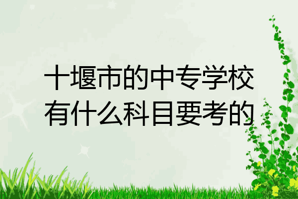 十堰市的中专学校有什么科目要考的