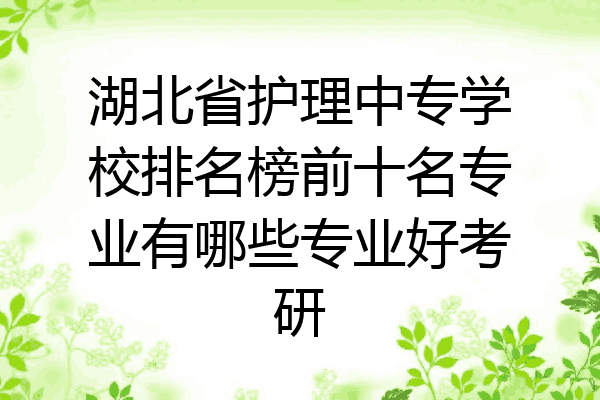 湖北省护理中专学校排名榜前十名专业有哪些专业好考研