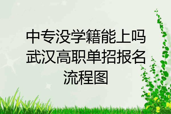 中专没学籍能上吗武汉高职单招报名流程图