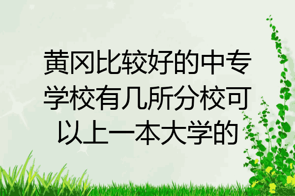 黄冈比较好的中专学校有几所分校可以上一本大学的