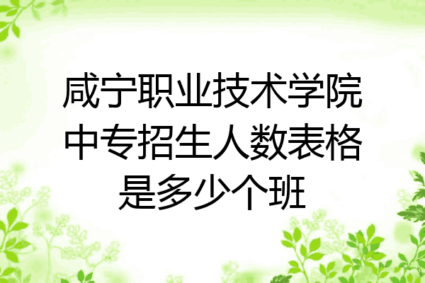 咸宁职业技术学院中专招生人数表格是多少个班
