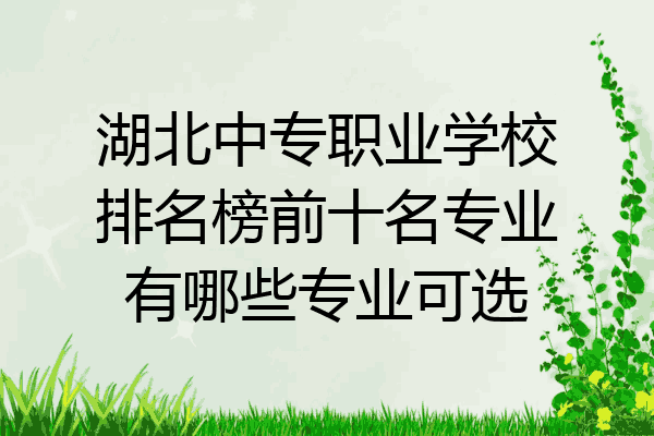 湖北中专职业学校排名榜前十名专业有哪些专业可选