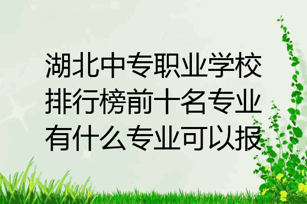 湖北中专职业学校排行榜前十名专业有什么专业可以报