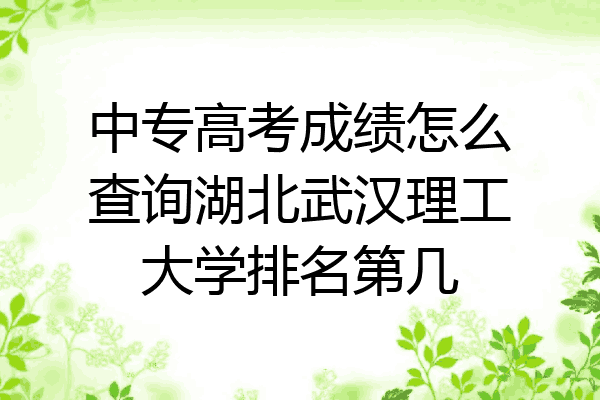 中专高考成绩怎么查询湖北武汉理工大学排名第几