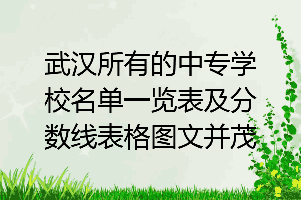 武汉所有的中专学校名单一览表及分数线表格图文并茂