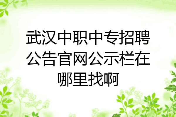 武汉中职中专招聘公告官网公示栏在哪里找啊