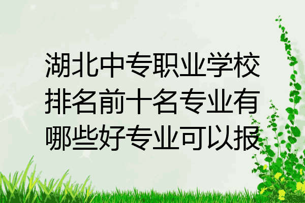 湖北中专职业学校排名前十名专业有哪些好专业可以报
