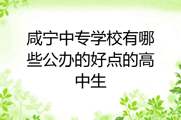 咸宁中专学校有哪些公办的好点的高中生