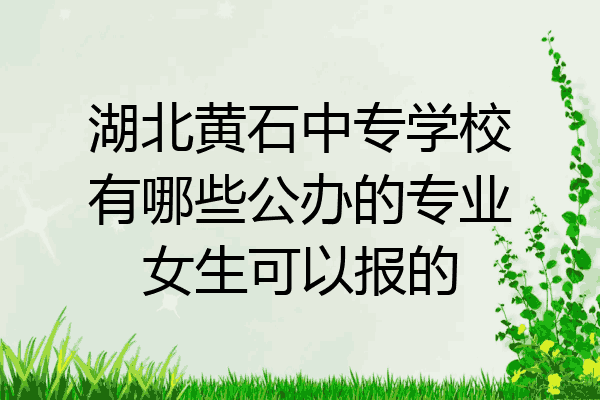湖北黄石中专学校有哪些公办的专业女生可以报的