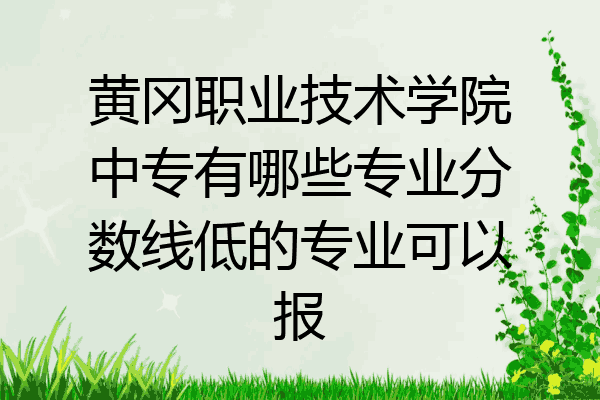 黄冈职业技术学院中专有哪些专业分数线低的专业可以报