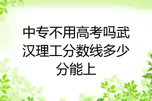 中专不用高考吗武汉理工分数线多少分能上