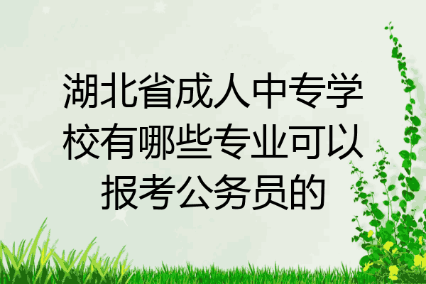 湖北省成人中专学校有哪些专业可以报考公务员的