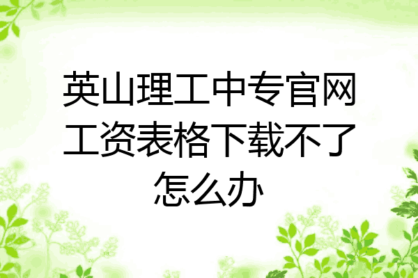 英山理工中专官网工资表格下载不了怎么办