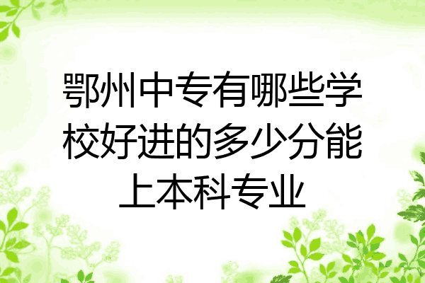 鄂州中专有哪些学校好进的多少分能上本科专业