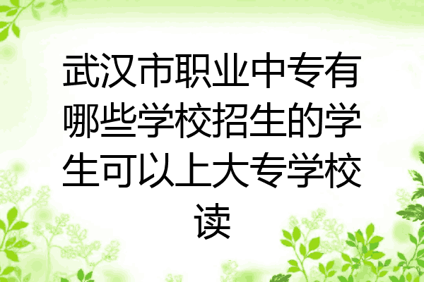 武汉市职业中专有哪些学校招生的学生可以上大专学校读