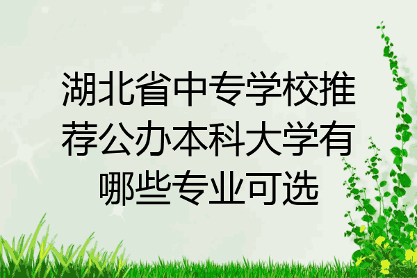 湖北省中专学校推荐公办本科大学有哪些专业可选