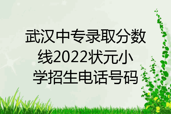 武汉中专录取分数线2022状元小学招生电话号码