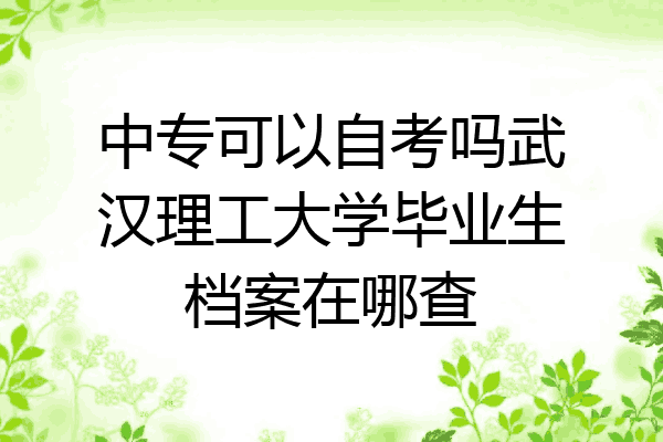 中专可以自考吗武汉理工大学毕业生档案在哪查