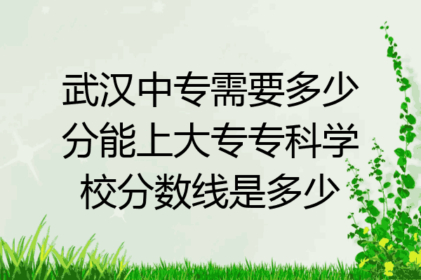 武汉中专需要多少分能上大专专科学校分数线是多少