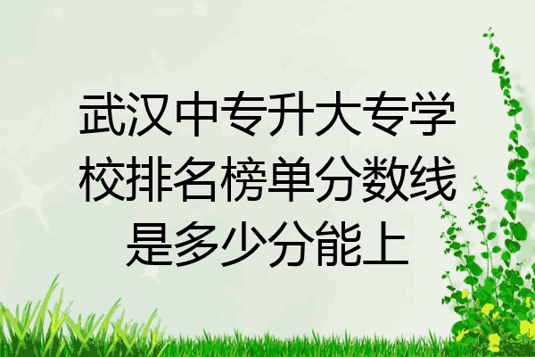 武汉中专升大专学校排名榜单分数线是多少分能上