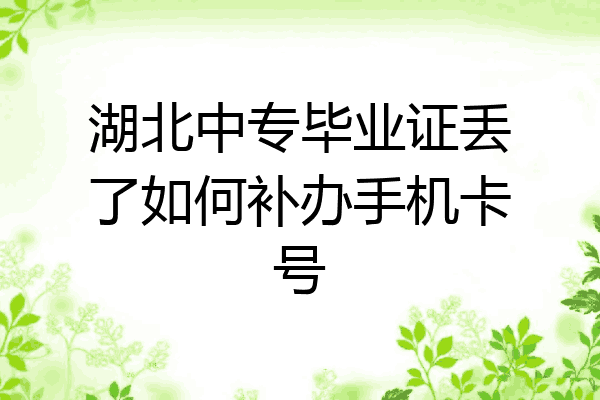 湖北中专毕业证丢了如何补办手机卡号
