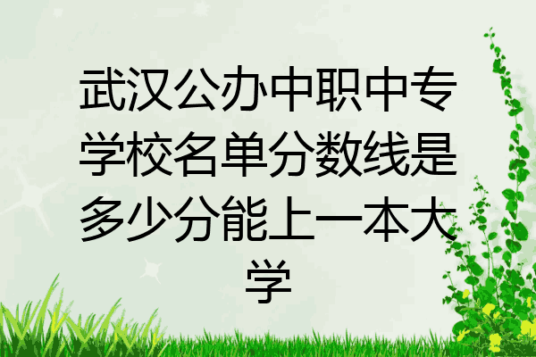 武汉公办中职中专学校名单分数线是多少分能上一本大学