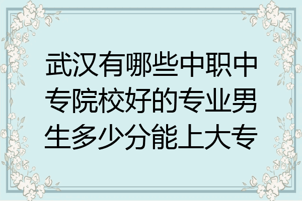 武汉有哪些中职中专院校好的专业男生多少分能上大专