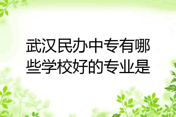 武汉民办中专有哪些学校好的专业是