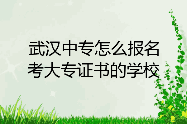 武汉中专怎么报名考大专证书的学校