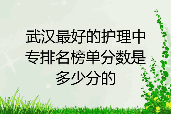 武汉最好的护理中专排名榜单分数是多少分的