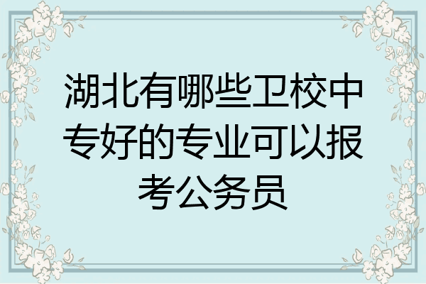 湖北有哪些卫校中专好的专业可以报考公务员
