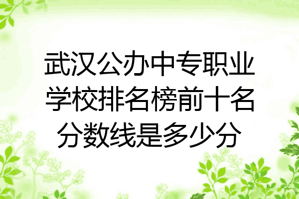武汉公办中专职业学校排名榜前十名分数线是多少分