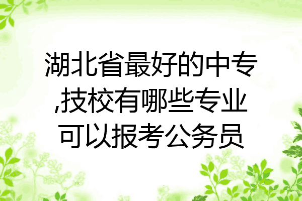湖北省最好的中专,技校有哪些专业可以报考公务员