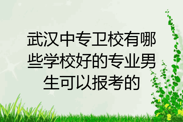 武汉中专卫校有哪些学校好的专业男生可以报考的