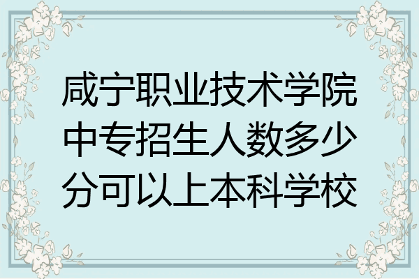 咸宁职业技术学院中专招生人数多少分可以上本科学校