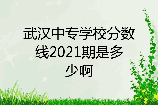 武汉中专学校分数线2021期是多少啊